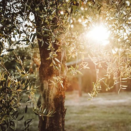 Agriturismo Podere Luchiano أميليا المظهر الخارجي الصورة