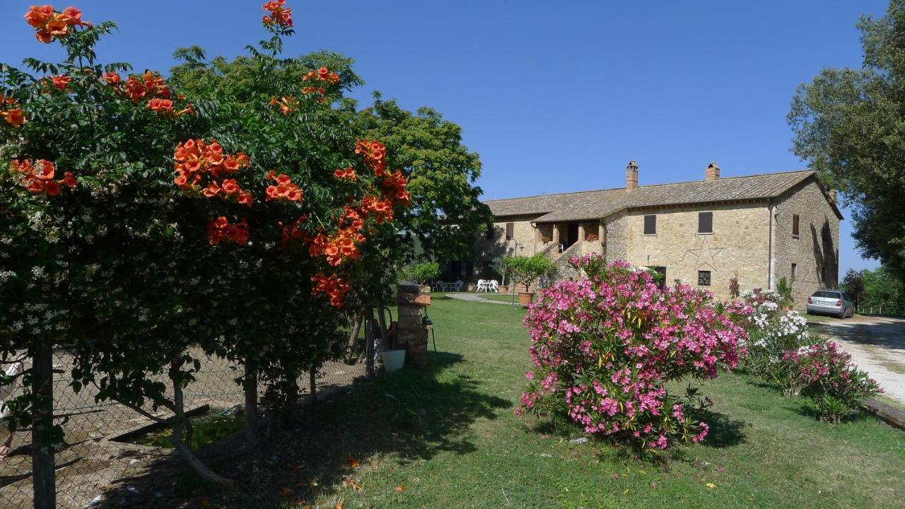 Agriturismo Podere Luchiano أميليا المظهر الخارجي الصورة