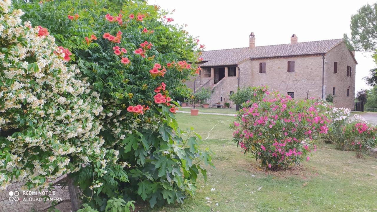 Agriturismo Podere Luchiano أميليا المظهر الخارجي الصورة