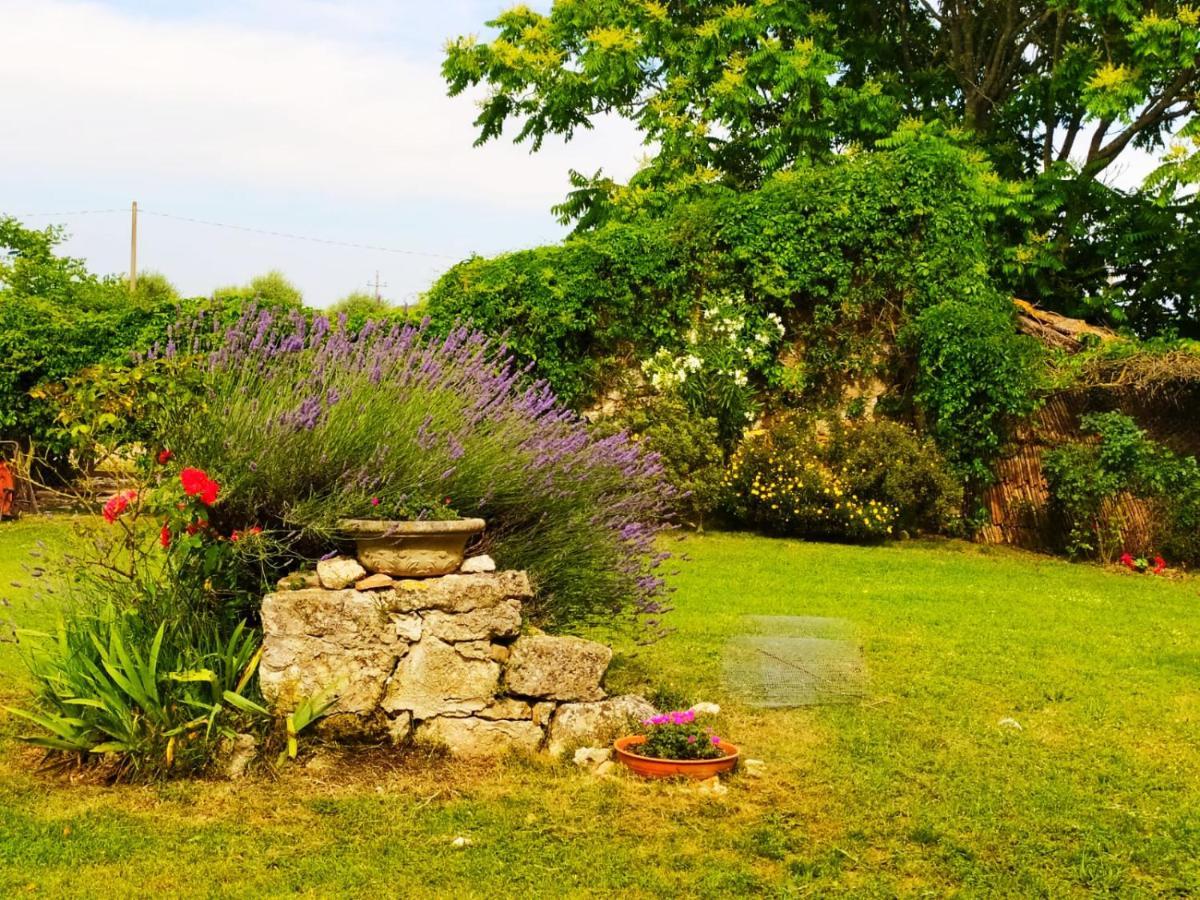 Agriturismo Podere Luchiano أميليا المظهر الخارجي الصورة