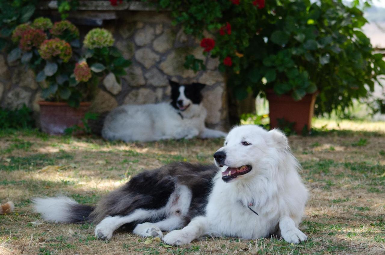 Agriturismo Podere Luchiano أميليا المظهر الخارجي الصورة