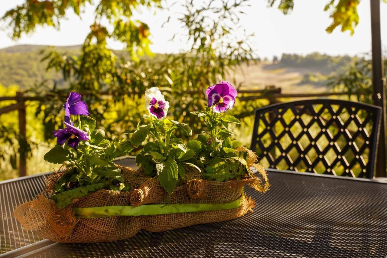 Agriturismo Podere Luchiano أميليا المظهر الخارجي الصورة