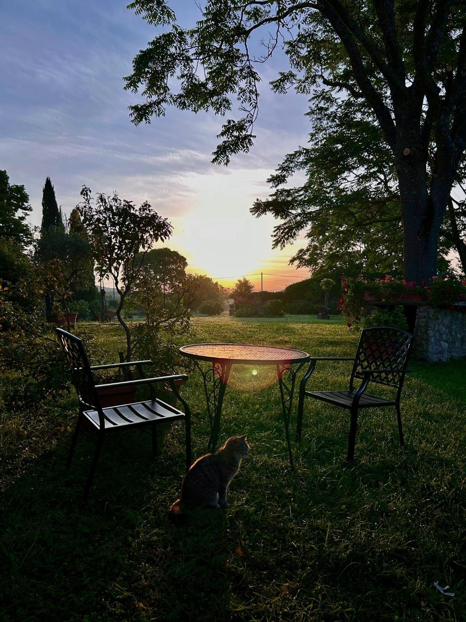Agriturismo Podere Luchiano أميليا المظهر الخارجي الصورة