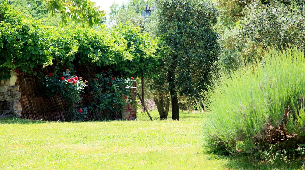 Agriturismo Podere Luchiano أميليا المظهر الخارجي الصورة