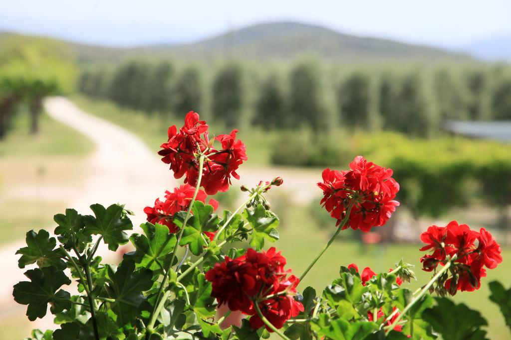 Agriturismo Podere Luchiano أميليا المظهر الخارجي الصورة