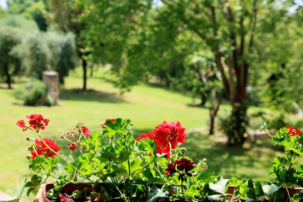 Agriturismo Podere Luchiano أميليا المظهر الخارجي الصورة