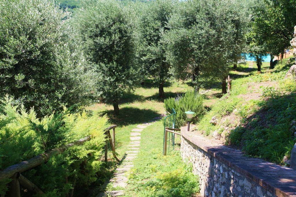 Agriturismo Podere Luchiano أميليا المظهر الخارجي الصورة