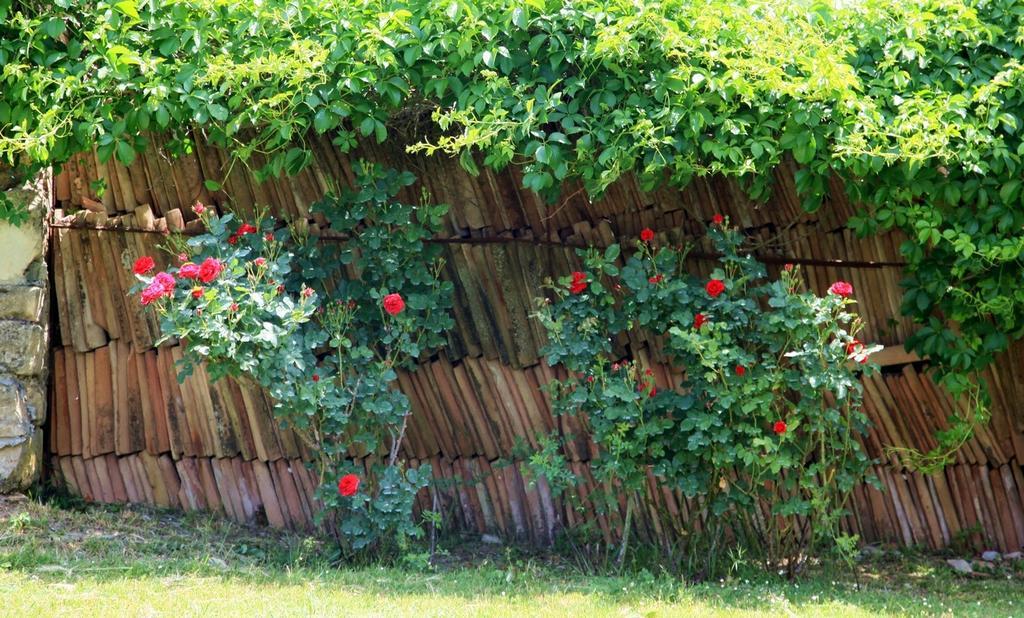 Agriturismo Podere Luchiano أميليا المظهر الخارجي الصورة