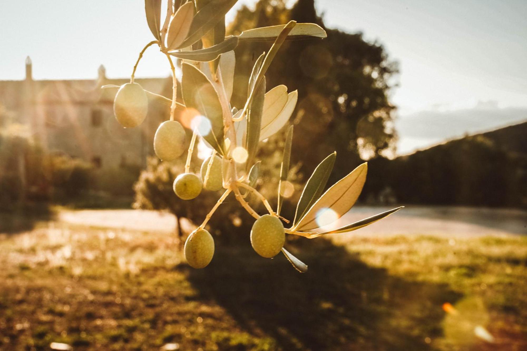 Agriturismo Podere Luchiano أميليا المظهر الخارجي الصورة