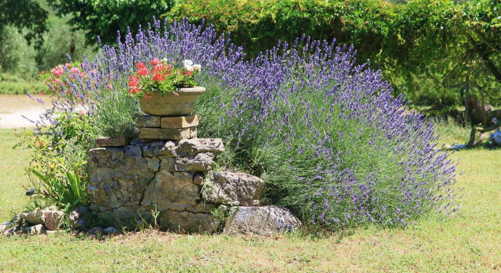Agriturismo Podere Luchiano أميليا المظهر الخارجي الصورة