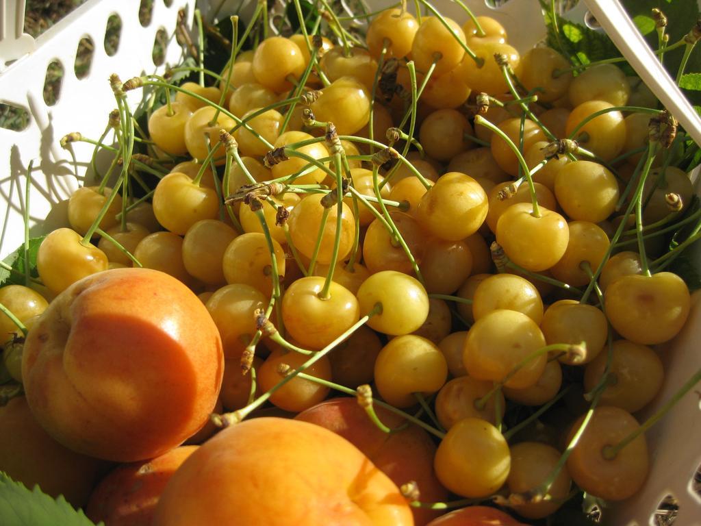 Agriturismo Podere Luchiano أميليا المظهر الخارجي الصورة