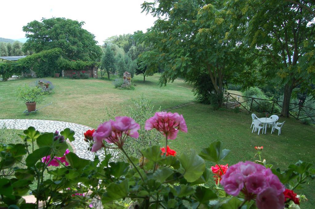 Agriturismo Podere Luchiano أميليا المظهر الخارجي الصورة